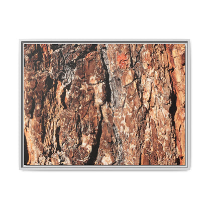 Nature's Rugged Canvas - Unique Stretched Canvas Wall Art
