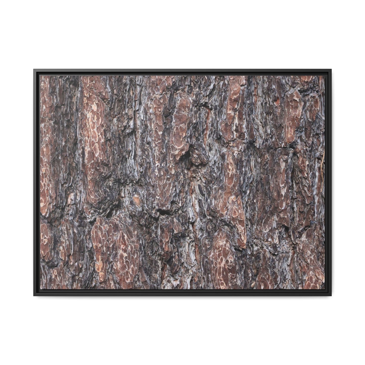 Echoes of Wood - Unique Stretched Canvas Wall Art