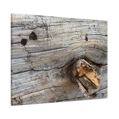 Weathered Wood Portrait - Unique Frameless Canvas Wall Art - Art By Earth