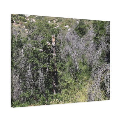 Drought-Stricken Forest - Unique Frameless Canvas Wall Art