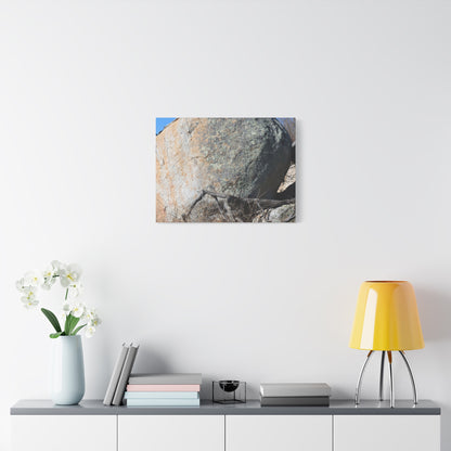Boulder's Solitude - Unique Stretched Canvas Wall Art - Art By Earth