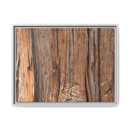 Echoes of Timber - Unique Stretched Canvas Wall Art - Art By Earth