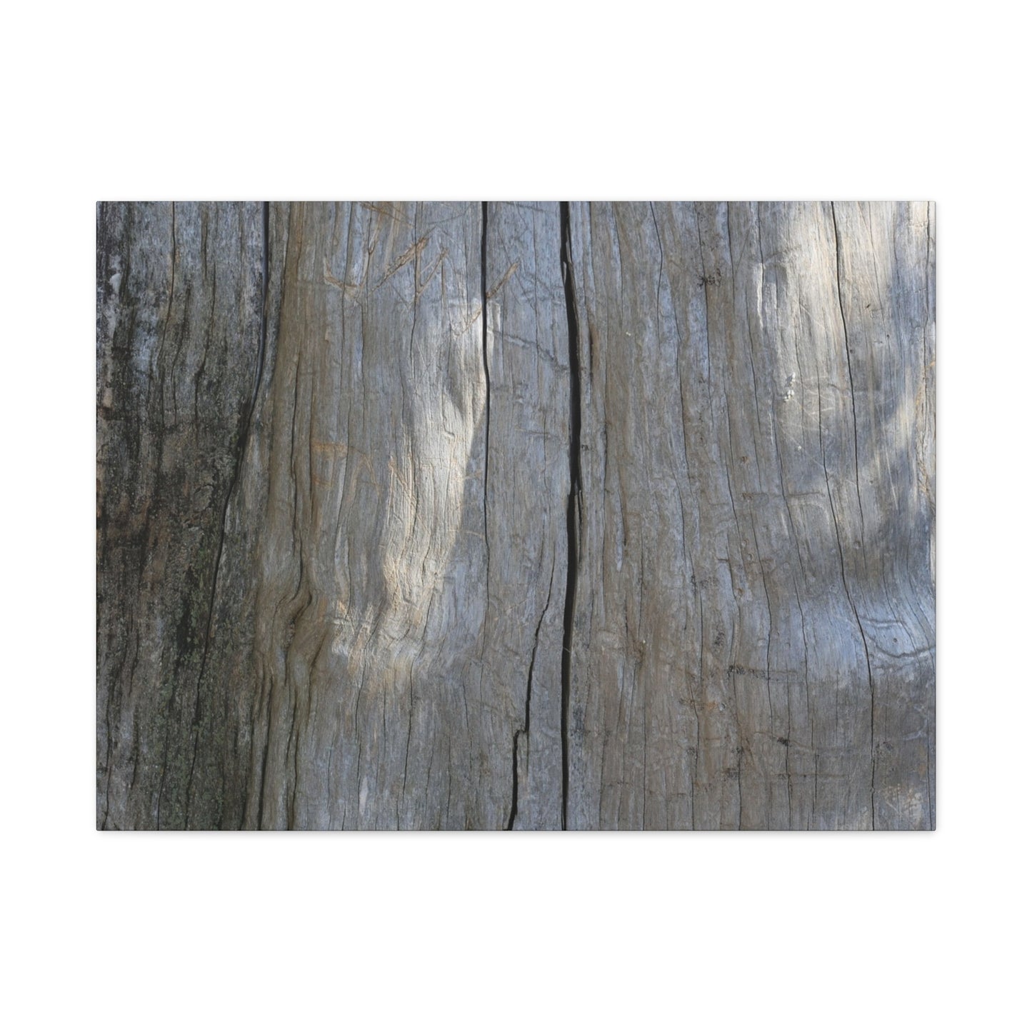 Split Log - Unique Frameless Canvas Wall Art