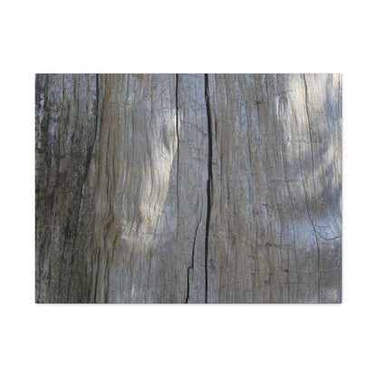 Split Log - Unique Frameless Canvas Wall Art
