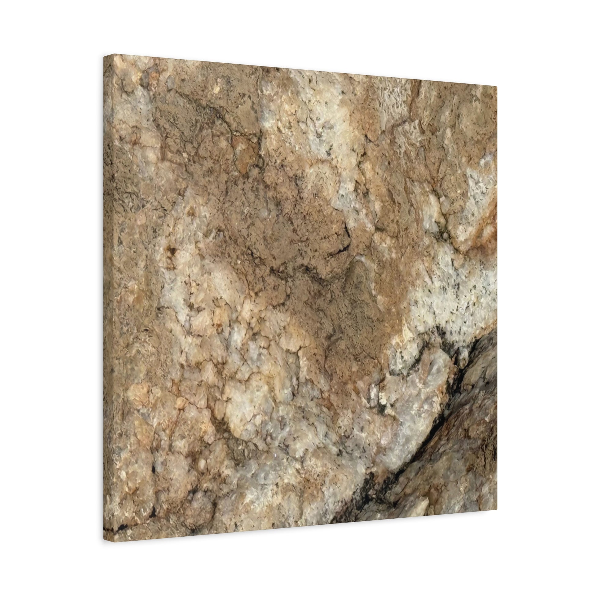 Desert Terrain - Unique Frameless Canvas Wall Art - Art By Earth