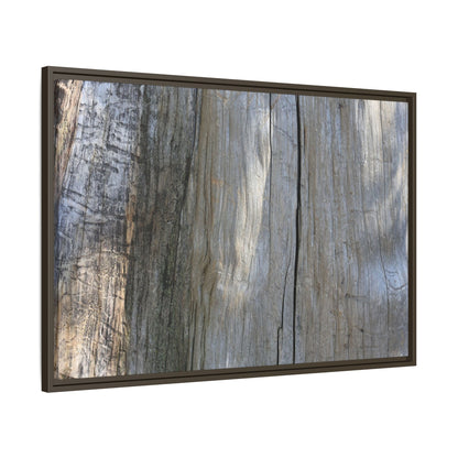 Cracked Timber Texture - Unique Stretched Canvas Wall Art