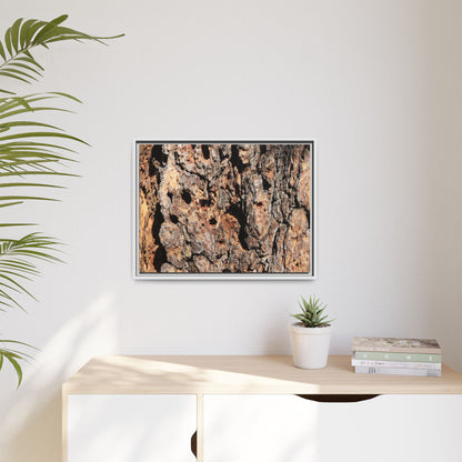 Rugged Rhythms - Unique Stretched Canvas Wall Art - Art By Earth