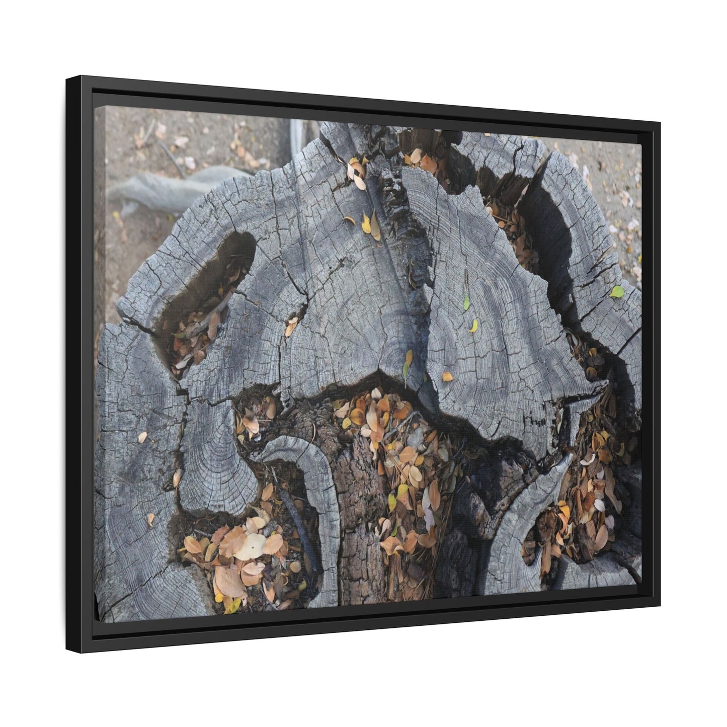 Time's Fractal Memory - Unique Stretched Canvas Wall Art - Art By Earth