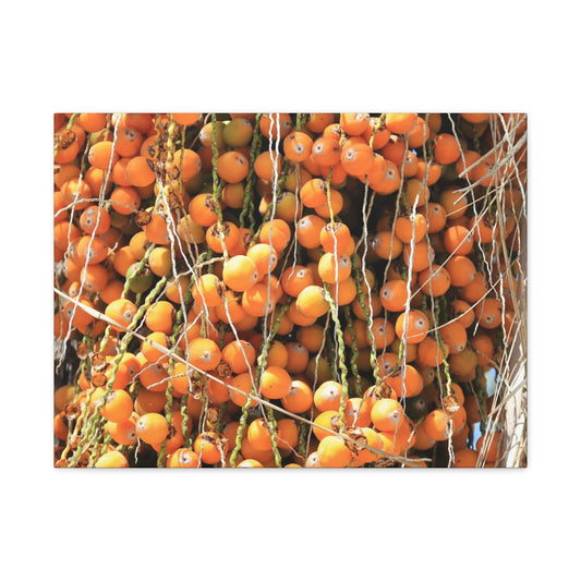 Orange Harvest - Unique Frameless Canvas Wall Art - Art By Earth