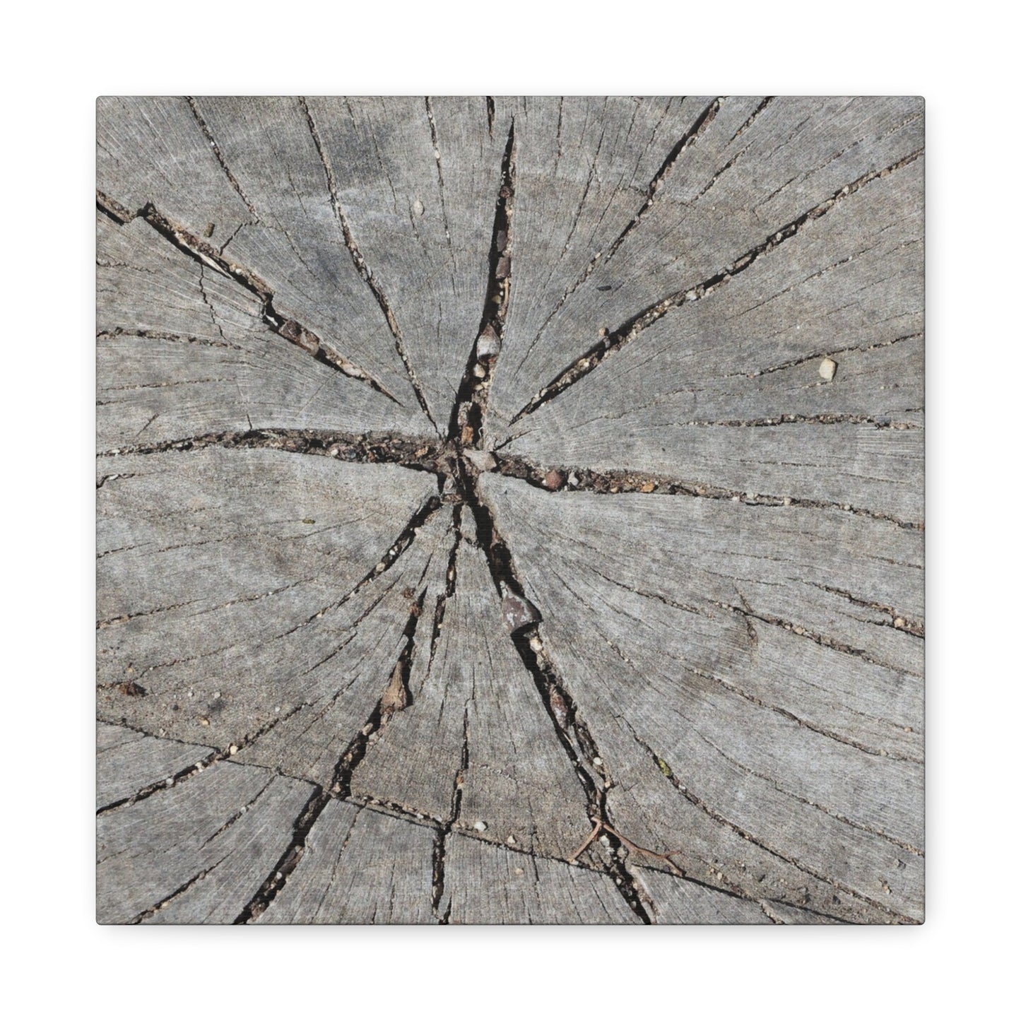 Cracked Chronicle - Unique Frameless Canvas Wall Art - Art By Earth