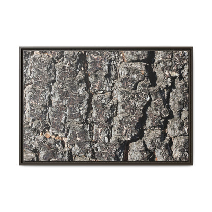 Bark Study in Gray - Unique Stretched Canvas Wall Art - Art By Earth