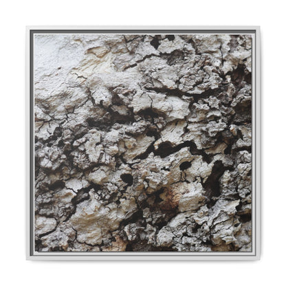 Cracked Terrain - Unique Stretched Canvas Wall Art - Art By Earth