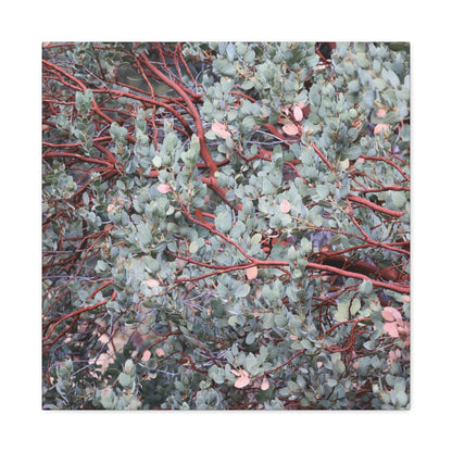 Whispers of Silver and Rust - Unique Frameless Canvas Wall Art - Art By Earth