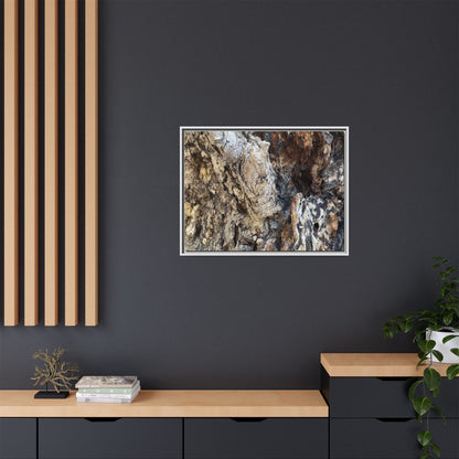 Ancient Tree Texture - Unique Stretched Canvas Wall Art - Art By Earth