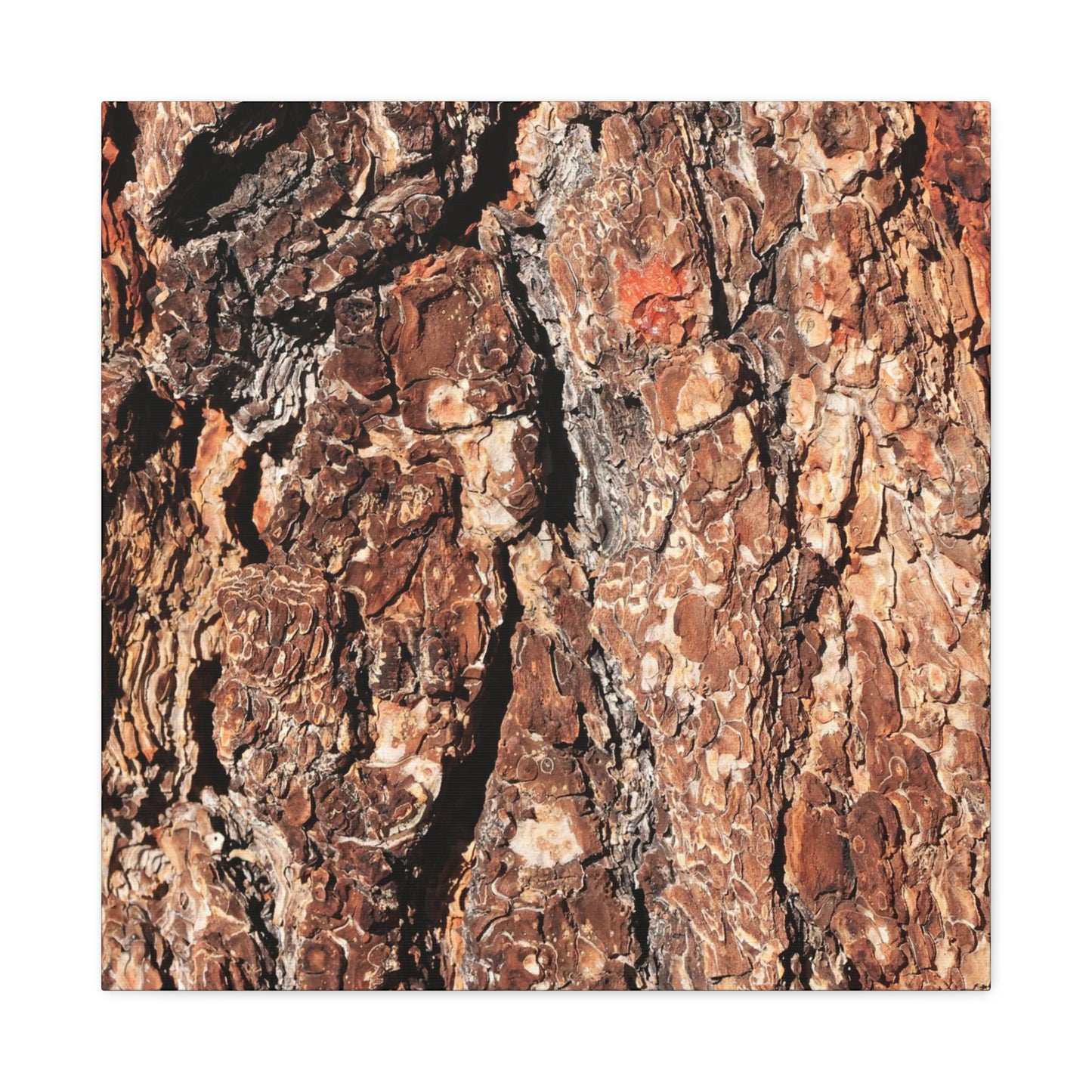 Russet Echoes - Unique Frameless Canvas Wall Art