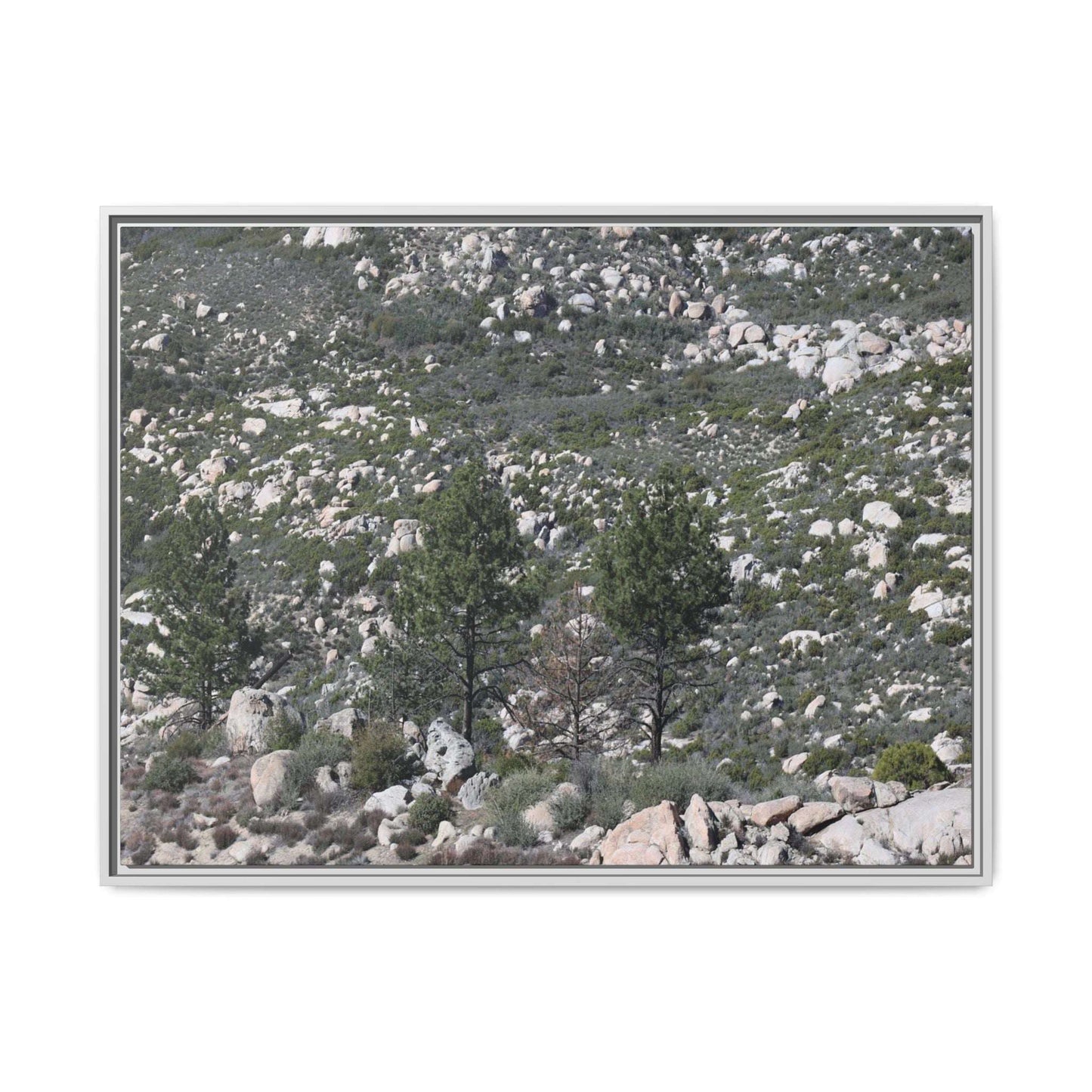 Rocky Hillside with Pine Trees - Unique Stretched Canvas Wall Art - Art By Earth