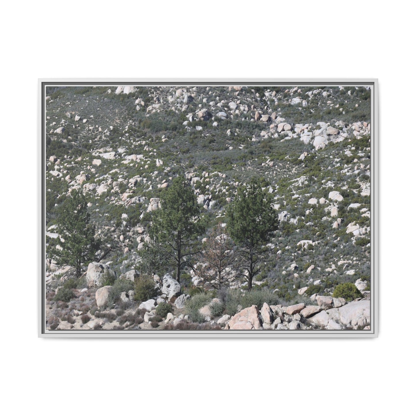 Rocky Hillside with Pine Trees - Unique Stretched Canvas Wall Art - Art By Earth