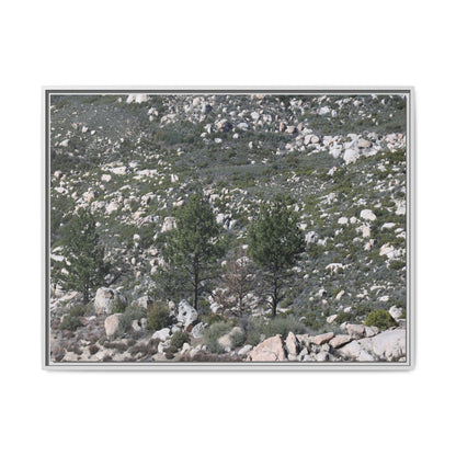 Rocky Hillside with Pine Trees - Unique Stretched Canvas Wall Art - Art By Earth