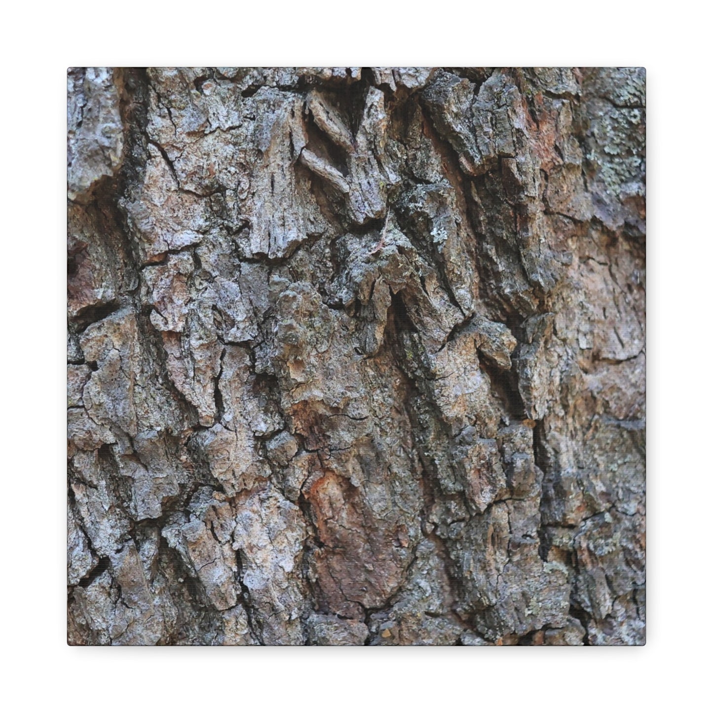 Rugged Canvas - Unique Frameless Canvas Wall Art - Art By Earth