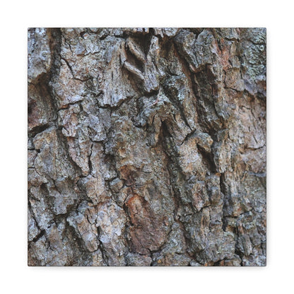 Rugged Canvas - Unique Frameless Canvas Wall Art - Art By Earth