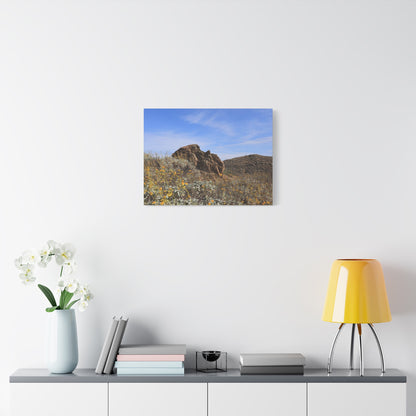 Desert Bloom - Unique Frameless Canvas Wall Art - Art By Earth