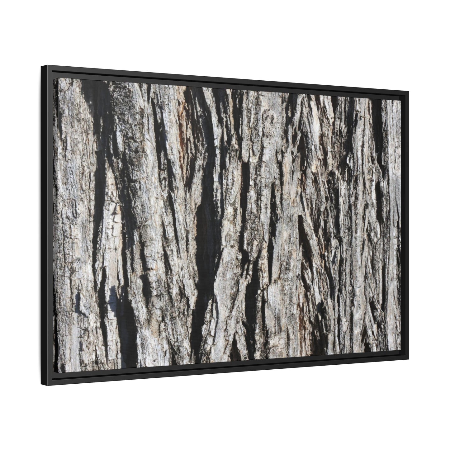 Bark Lines - Unique Stretched Canvas Wall Art - Art By Earth