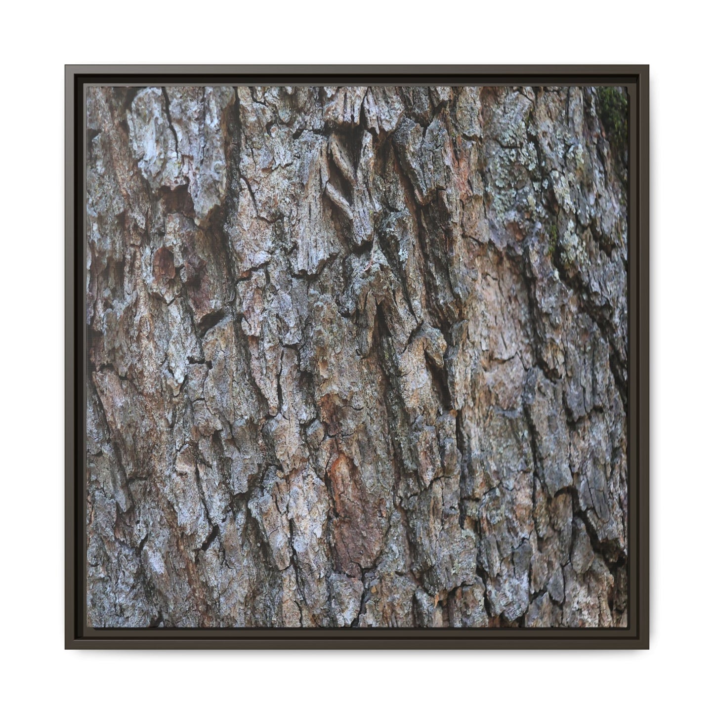 Woodland Skin - Unique Stretched Canvas Wall Art - Art By Earth