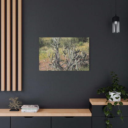 Desert Bloom in Shadow - Unique Frameless Canvas Wall Art - Art By Earth