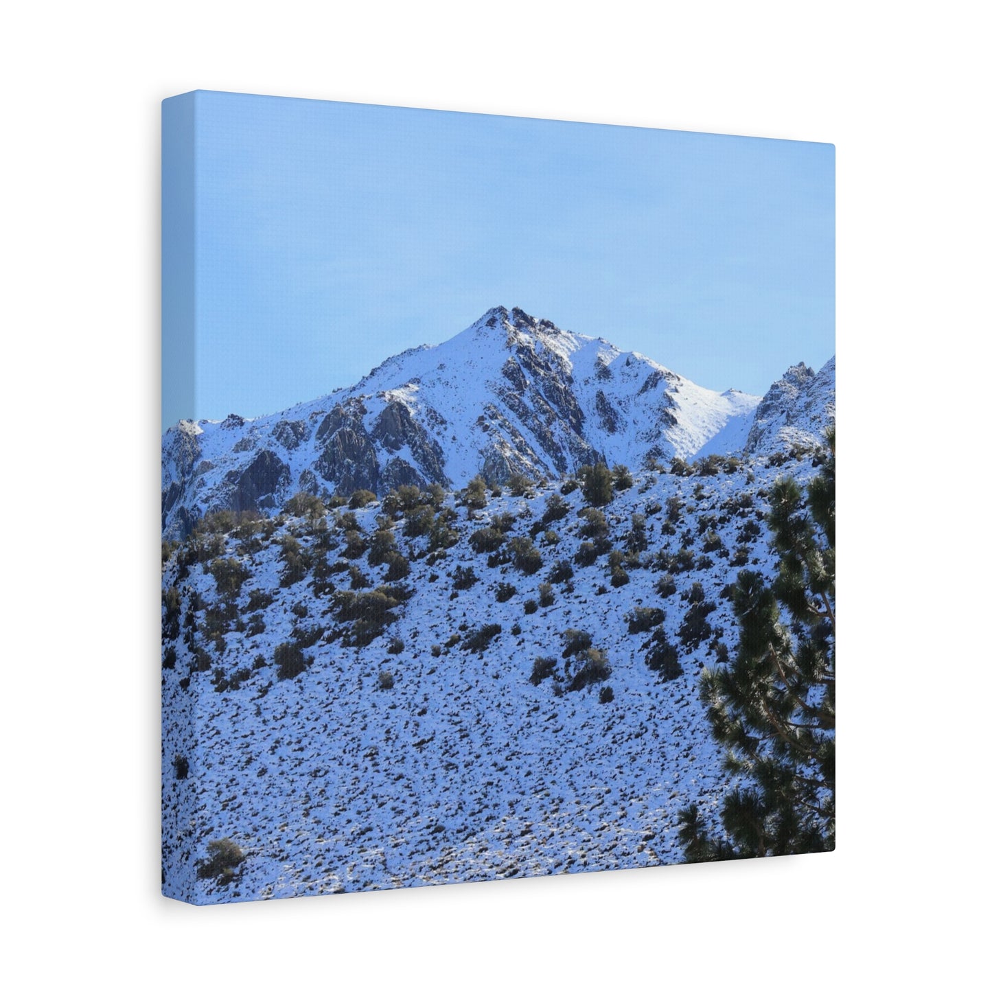 Snowy Peaks and Stoic Pines - Unique Frameless Canvas Wall Art