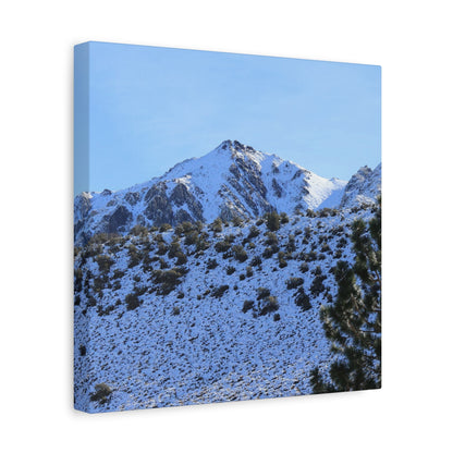 Snowy Peaks and Stoic Pines - Unique Frameless Canvas Wall Art