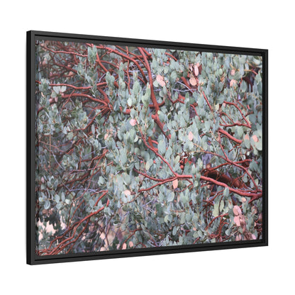 Whispers of Sage - Unique Stretched Canvas Wall Art - Art By Earth