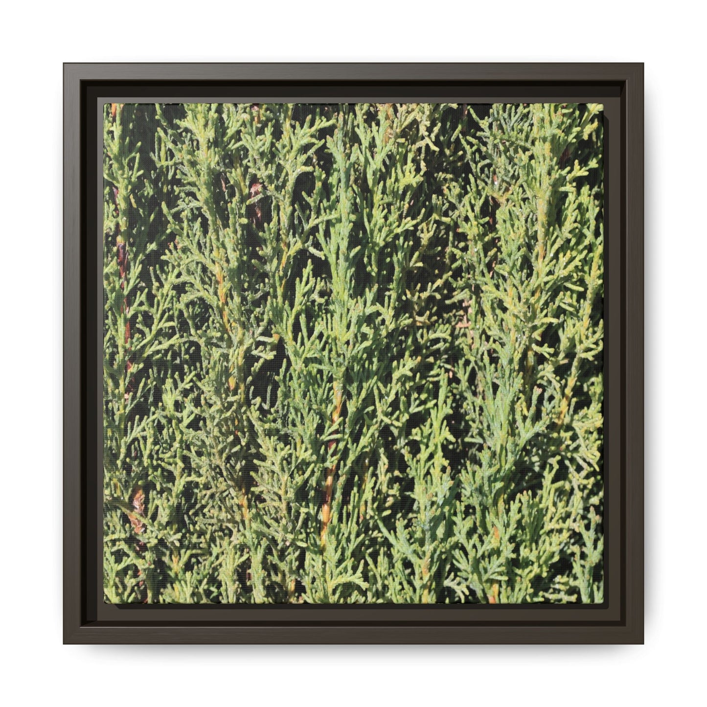 Emerald Labyrinth - Unique Stretched Canvas Wall Art - Art By Earth