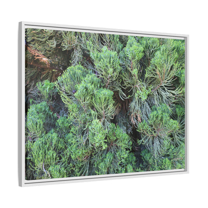 Verdant Whispers - Unique Stretched Canvas Wall Art - Art By Earth