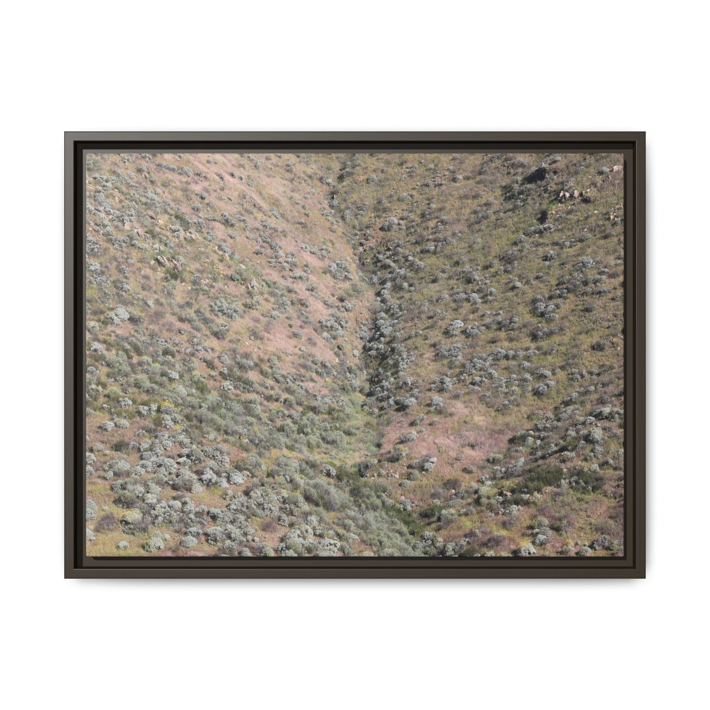 Mountain Slope with Desert Vegetation - Unique Stretched Canvas Wall Art - Art By Earth