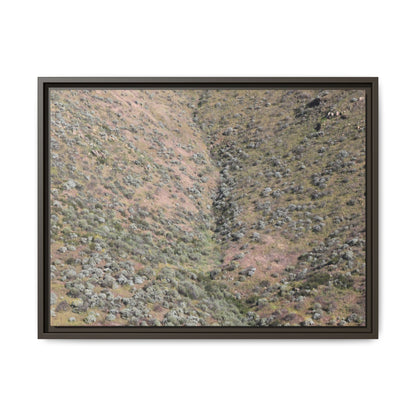 Mountain Slope with Desert Vegetation - Unique Stretched Canvas Wall Art - Art By Earth