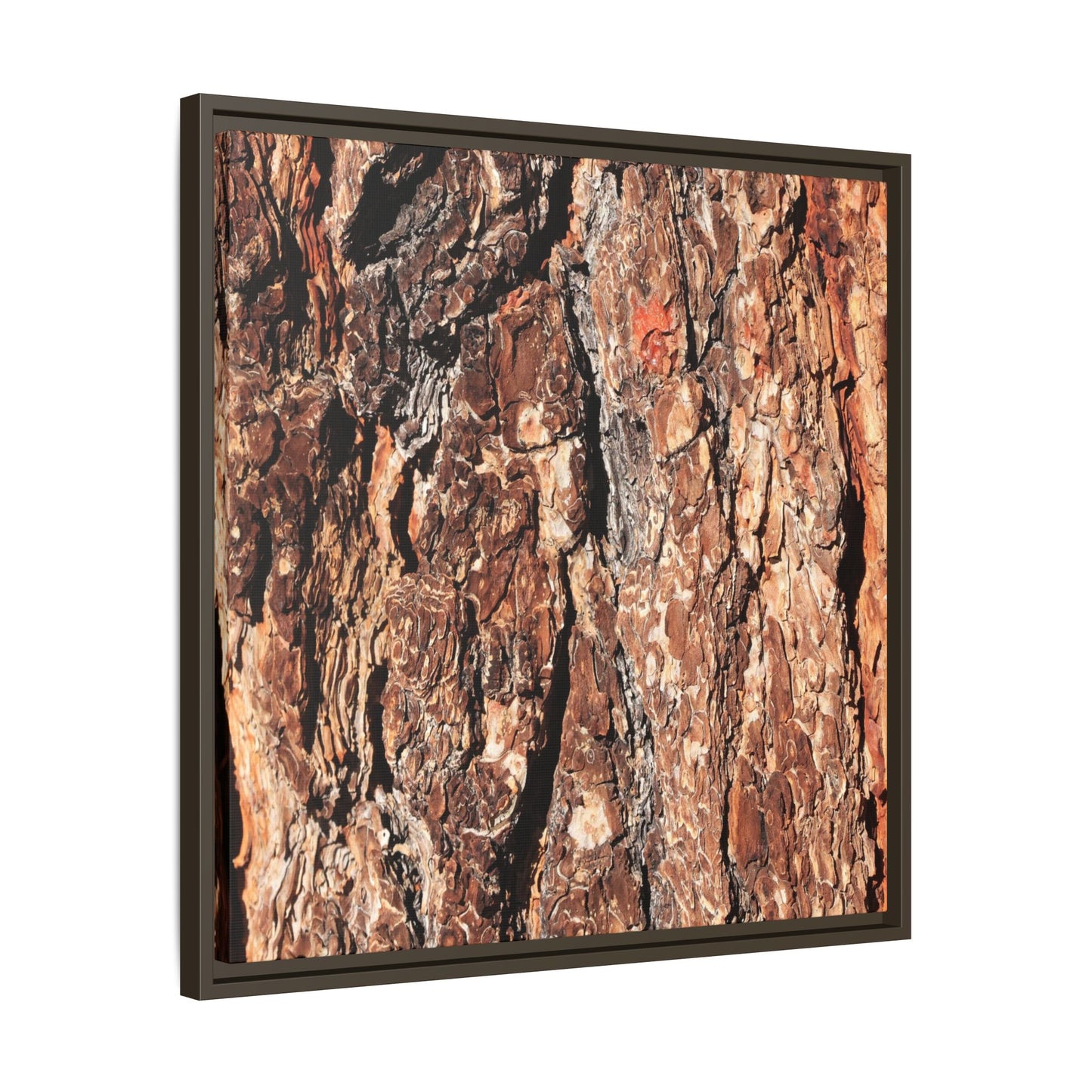 Nature's Rugged Canvas - Unique Stretched Canvas Wall Art