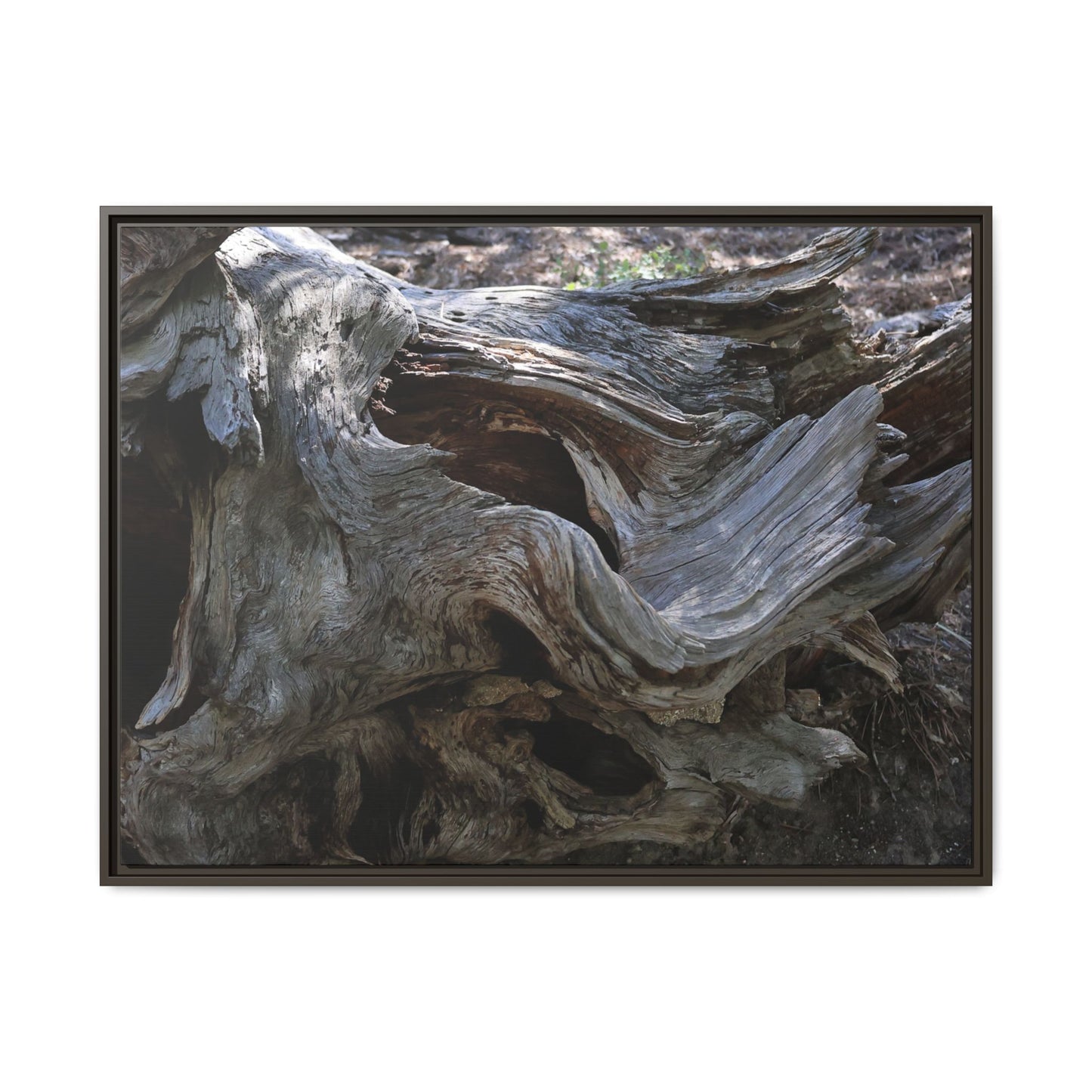 Twisted Memories - Unique Stretched Canvas Wall Art - Art By Earth