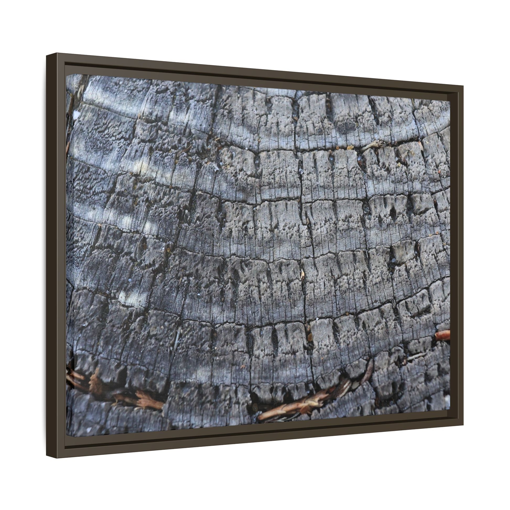 Charred Memories - Unique Stretched Canvas Wall Art - Art By Earth