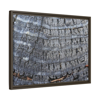 Charred Memories - Unique Stretched Canvas Wall Art - Art By Earth