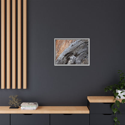 Time's Mark on Timber - Unique Stretched Canvas Wall Art - Art By Earth