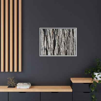 Bark Lines - Unique Stretched Canvas Wall Art - Art By Earth