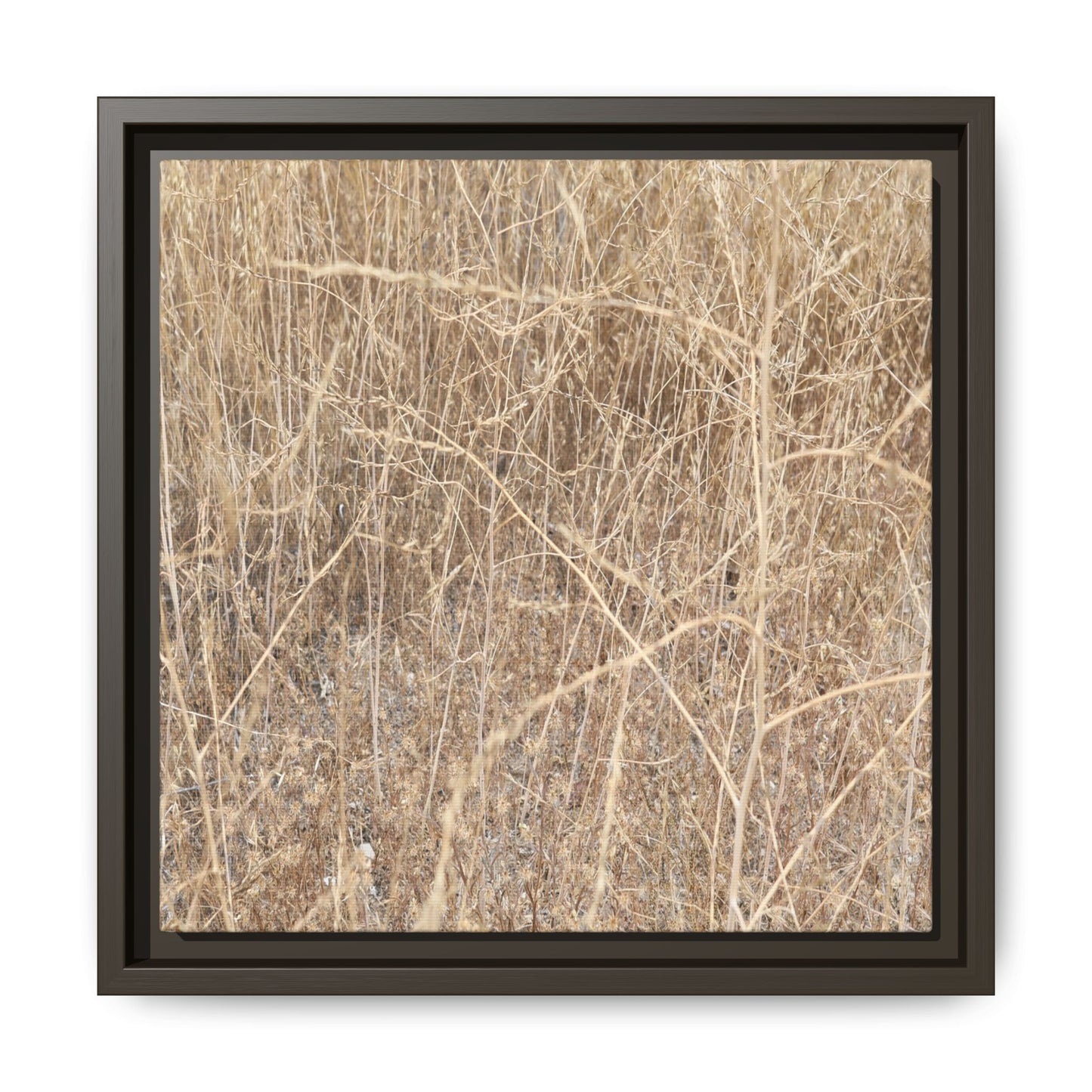 Golden Stalks - Unique Stretched Canvas Wall Art - Art By Earth