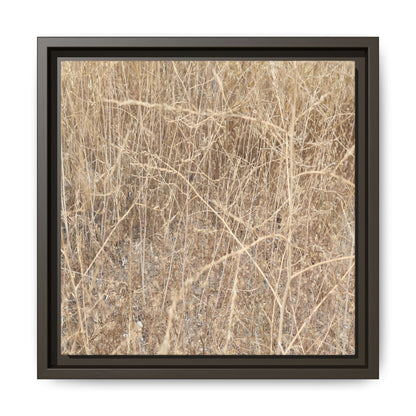 Golden Stalks - Unique Stretched Canvas Wall Art - Art By Earth