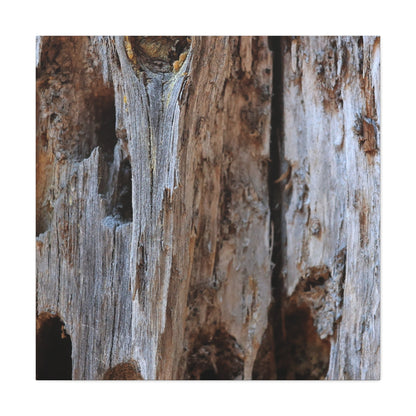Timber Tapestry - Unique Frameless Canvas Wall Art - Art By Earth