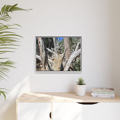 Forest Sentinels - Unique Stretched Canvas Wall Art