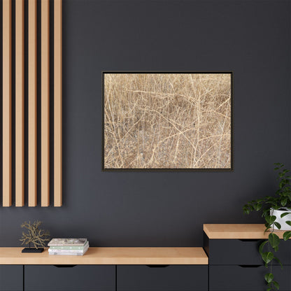 Golden Stalks - Unique Stretched Canvas Wall Art - Art By Earth