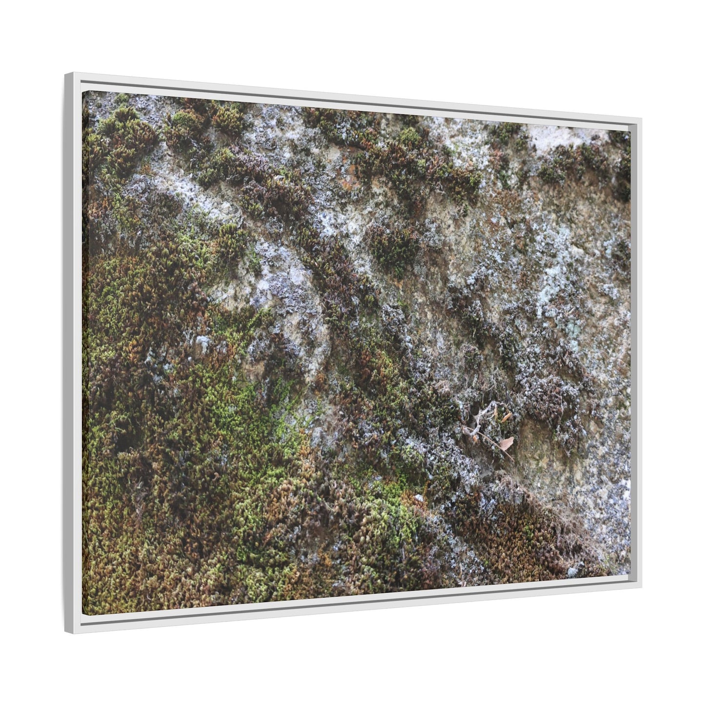 Mossy Whispers - Unique Stretched Canvas Wall Art - Art By Earth