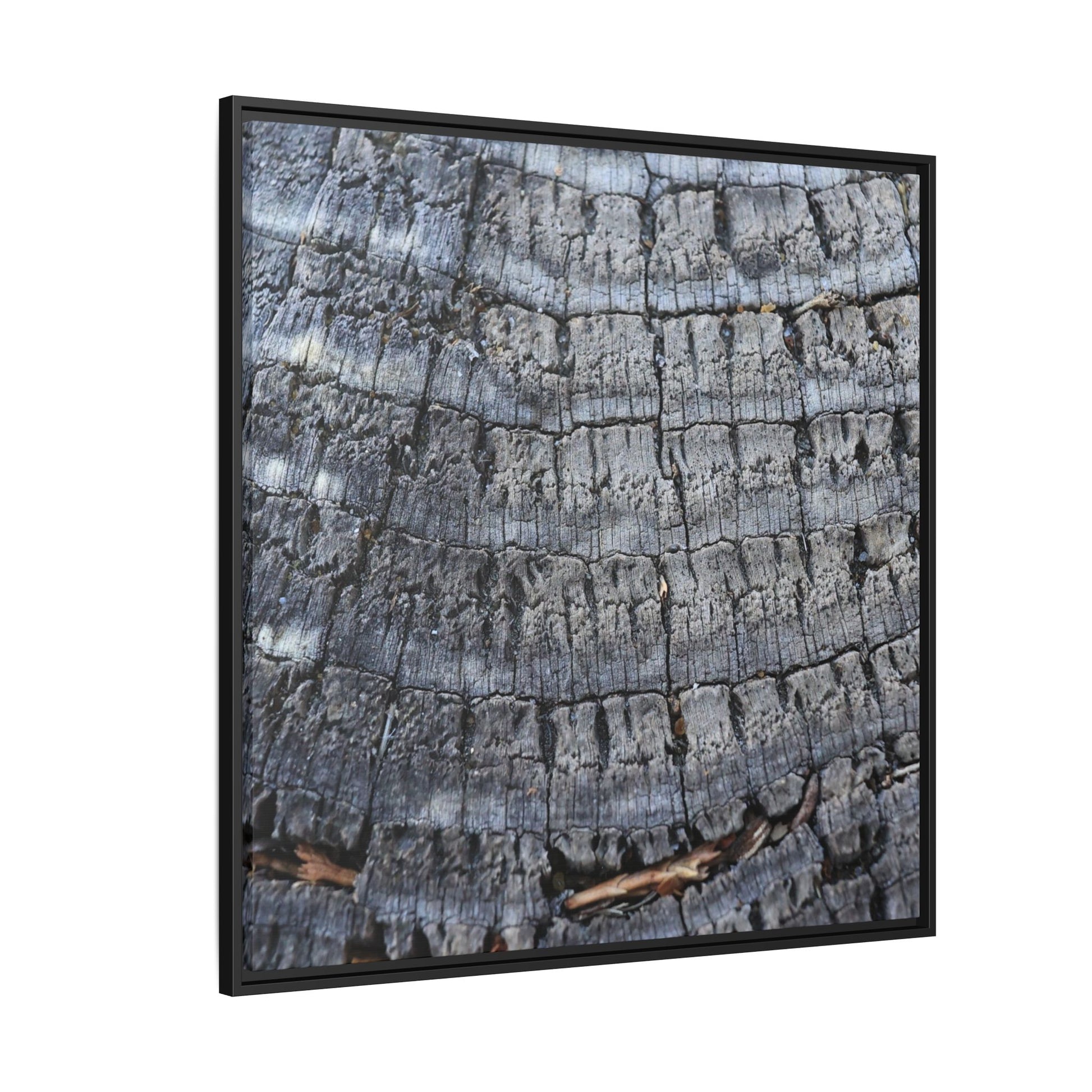 Charred Memories - Unique Stretched Canvas Wall Art - Art By Earth