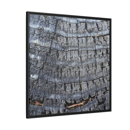 Charred Memories - Unique Stretched Canvas Wall Art - Art By Earth
