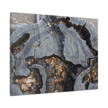 Weathered Woodland Whispers - Unique Frameless Canvas Wall Art - Art By Earth